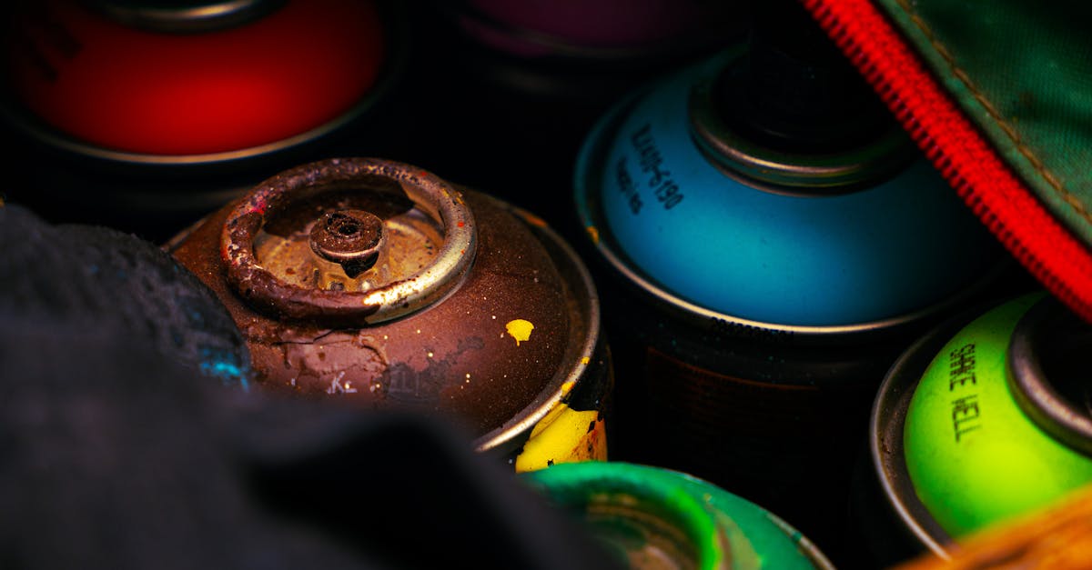 From Canvas to Reality: The Stories Behind Melbourne's Still Life Paintings